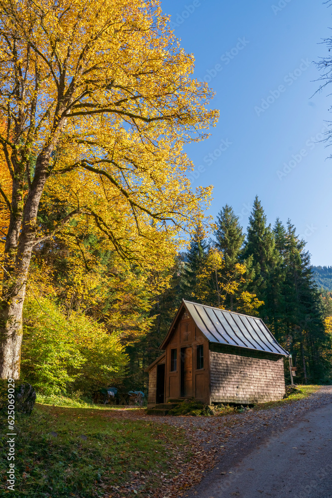 autumn in the mountains, colorful trees and landscape autumn in the mountains, colorful trees and landscape