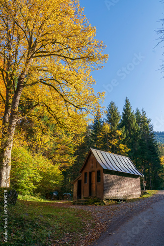 autumn in the mountains, colorful trees and landscape © Aytug Bayer