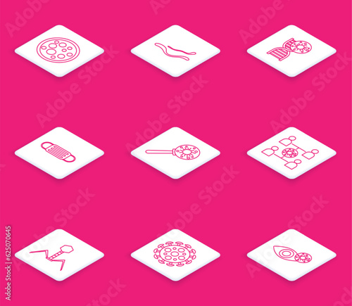 Set line Virus, Ebola virus disease, DNA symbol and, Medical protective mask, under magnifying glass, spread, Bacteria bacteriophage and icon. Vector