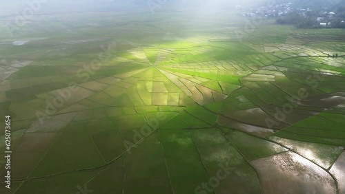 aerial view of Spider Web Rice Fields
in Flores, Ruteng photo