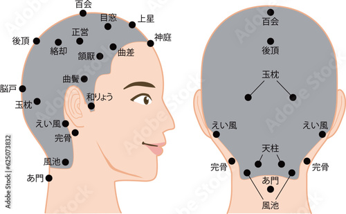 頭のツボの図解イラスト(女性)　文字あり