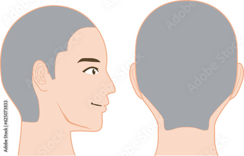 頭のツボの図解イラスト(男性)