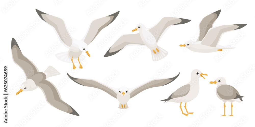 Obraz premium Flying seagulls. Bird in flight isolated on a white background. Soaring seabird. Vector illustration in a flat style.
