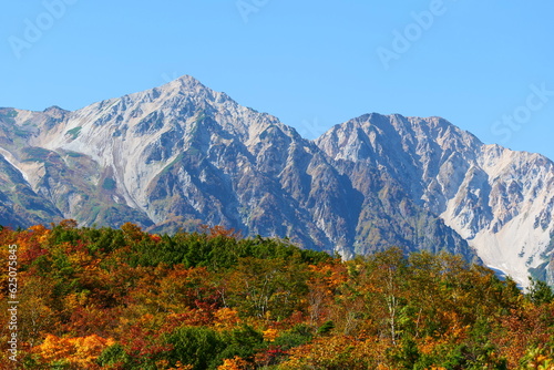 秋の鎌池湿原より白馬三山を望む。白馬、長野、日本。10月上旬。
