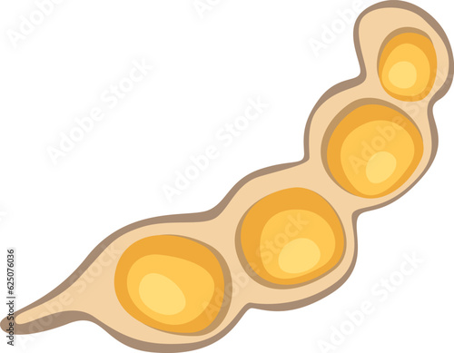 Soybean Fruit Icon