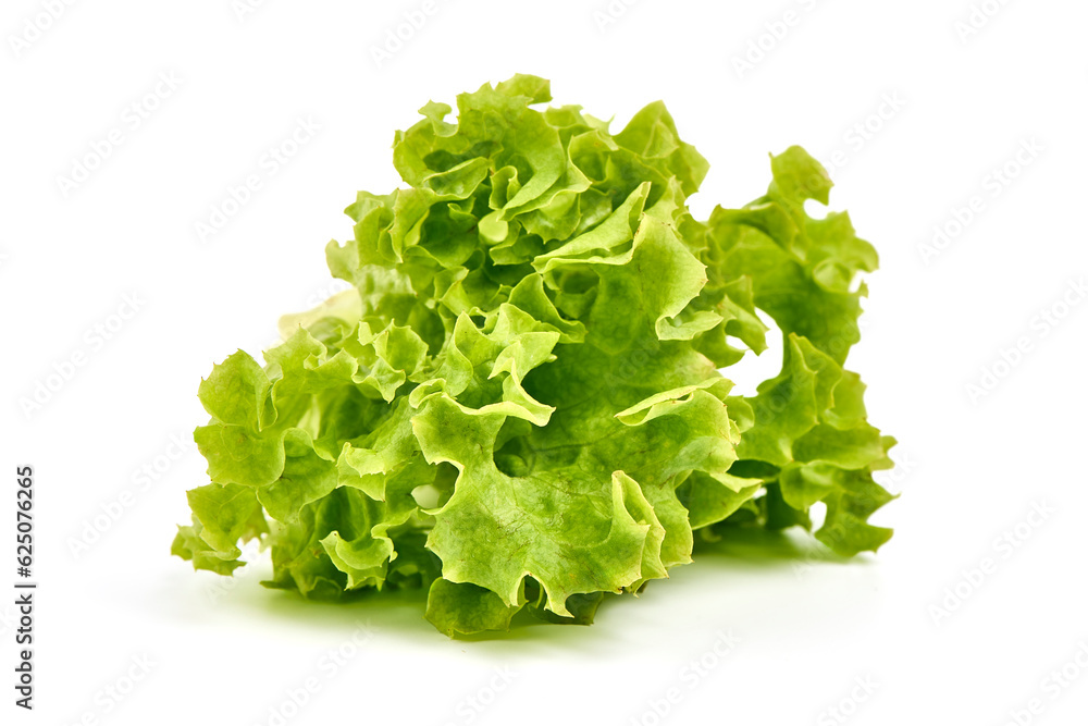 Lettuce Salad leaves, isolated on white background. Lettuce Salad leaves, isolated on white background.