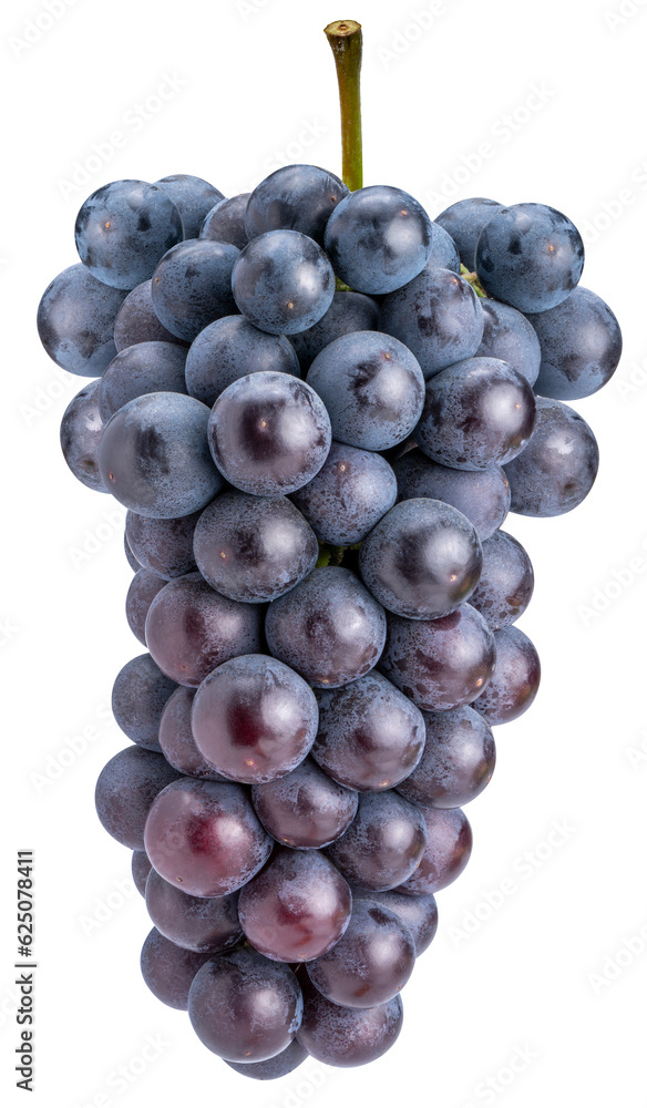 Organic black grapes in Bamboo basket, Fresh Kyoho Grape isolate on white background PNG File. Organic black grapes in Bamboo basket, Fresh Kyoho Grape isolate on white background PNG File.