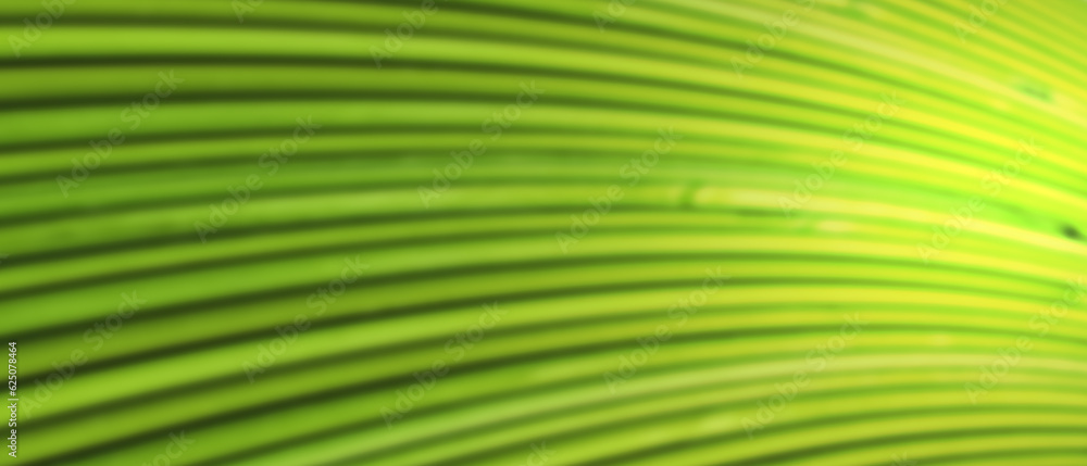 Obraz premium green blurred background geometry line