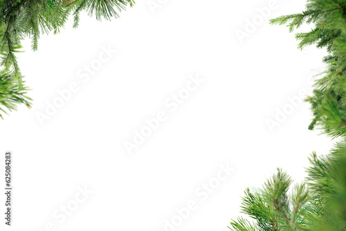 Spruce pine branches isolated on transparent background.  Christmas tree twig clipar clip art.
Green branch isolated png