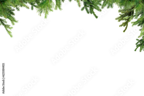 Fototapeta Naklejka Na Ścianę i Meble -  Spruce pine branches isolated on transparent background.  Christmas tree twig clipar clip art.
Green branch isolated png