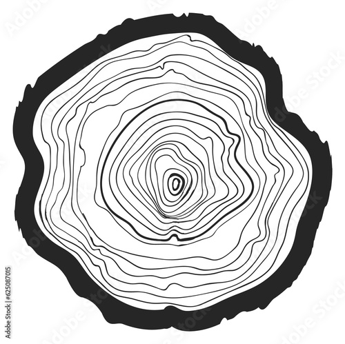 Annual tree rings pattern texture on wood cut