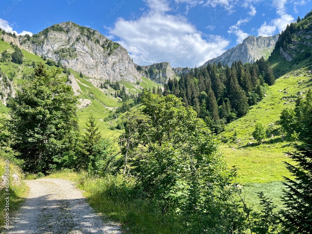 Fototapeta premium Suisse