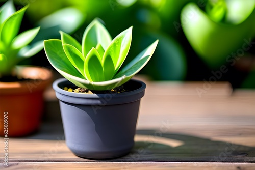 plant in a pot. Generative AI