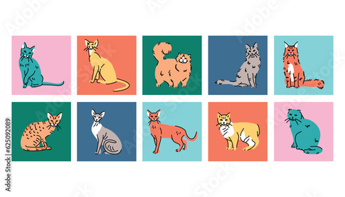 Cat breeds black line icons set. Pictograms for web page