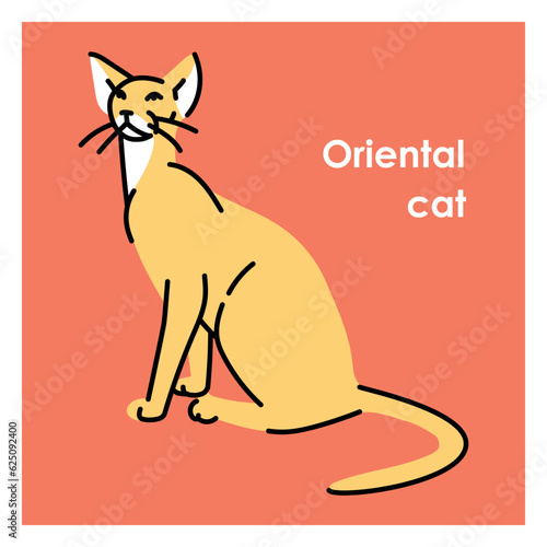 Oriental shorthair cat black line icon. Farm animals.