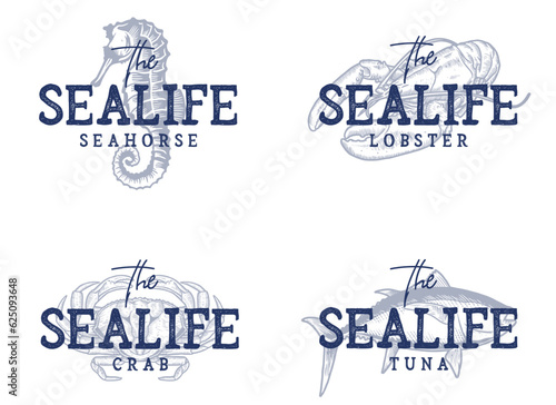 sealife animal vector illustration photo