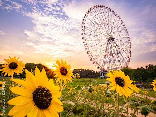 Obraz na płótnie 夏の夕景、葛西臨海公園_向日葵と観覧車 w salonie