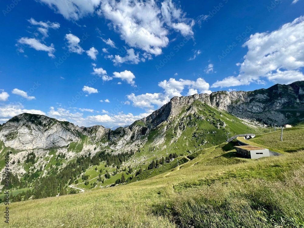Suisse Suisse