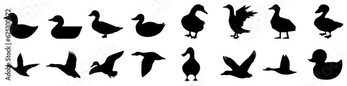 Duck icon vector set. Bird illustration sign collection. Hunting symbol. Goose logo.