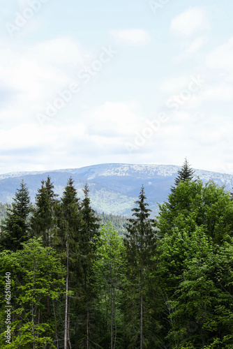 Mountain landscape on sunny summer day