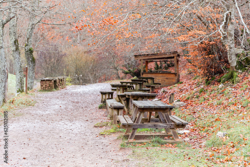 Follow the path adorned with merendero tables, a rustic retreat amidst the enchanting brown landscape of autumn