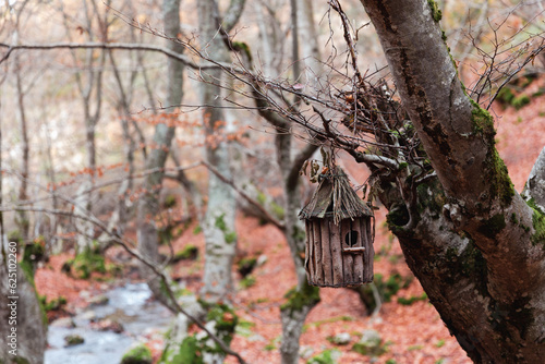 Discover a charming wooden birdhouse nestled in the heart of Faedo de Ciñera, a delightful haven for feathered friends amidst the woodland beauty