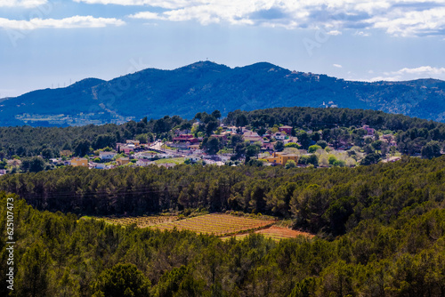 Photography Landscape with summer vineyards near Vilafranca del Penedes, Catalunya, Spain