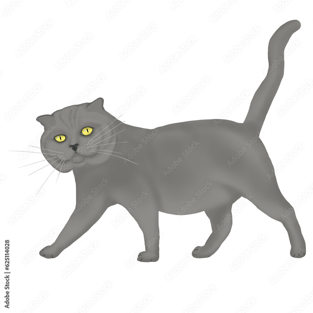 Gray cat with yellow eyes. Gray cat with yellow eyes.