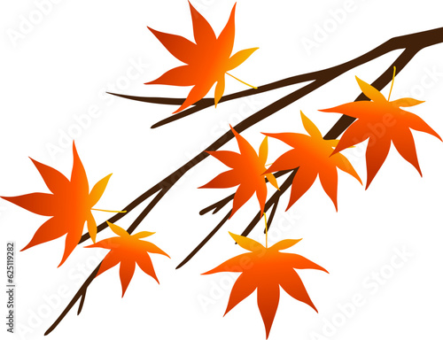 Maple Branches, Autumn