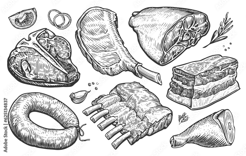 Fresh farm meat products. Hand drawn illustration for butcher shop or