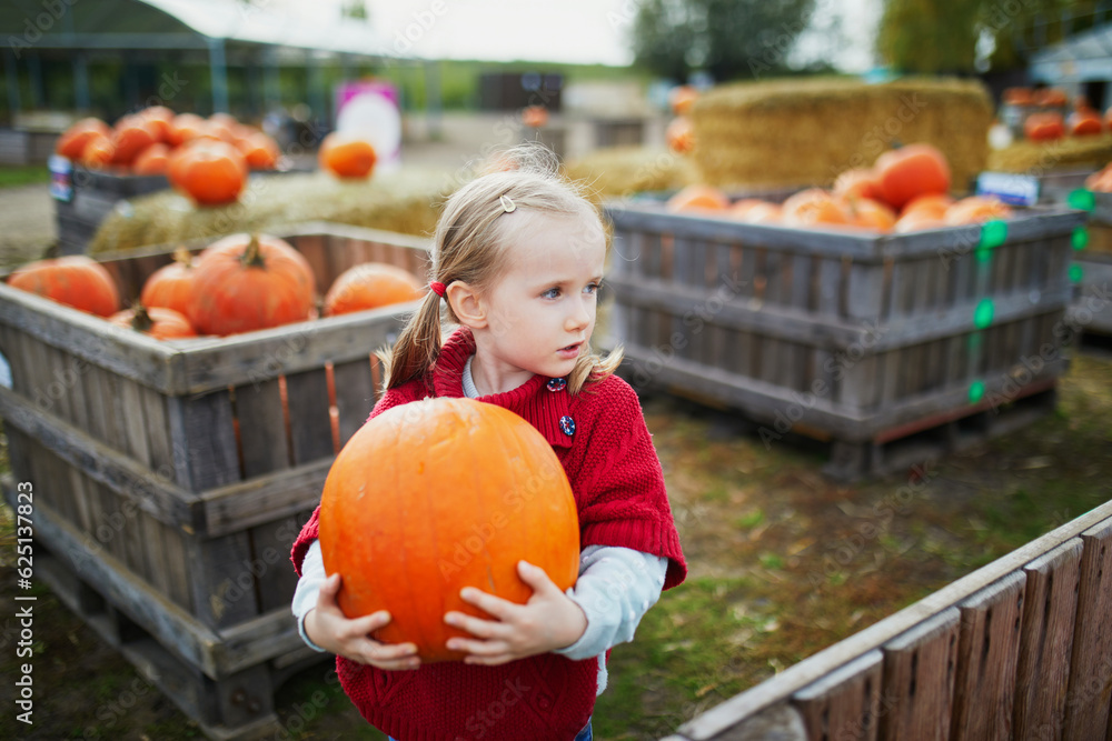 Fototapeta premium Adorable preschooler girl in red poncho selecting pumpkin on farm