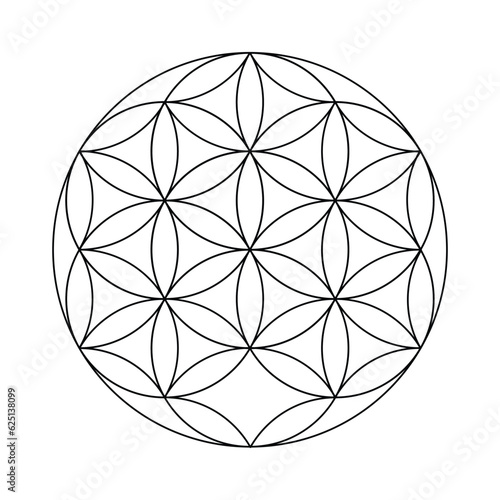 Flower of life. Scared Geometry Vector Design Elements. This is religion, philosophy, and spirituality symbols. the world of geometry with our intricate illustrations.