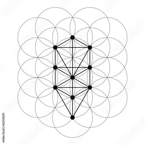 Tree of life. Scared Geometry Vector Design Elements. This is religion, philosophy, and spirituality symbols. the world of geometry with our intricate illustrations.