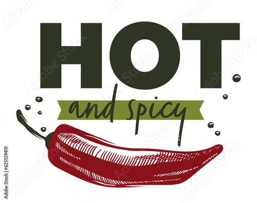 Hot and spicy chili pepper, label or emblem vector