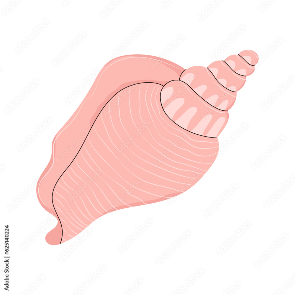 Spiral seashell, mollusc. Marine twisted sea shell. Ocean mollusk ...