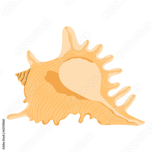 Sea shell, Lambis Scorpius. Marine mollusc with limbs. Spider conch, scorpion seashell. Undersea underwater mollusk. Ocean under water shellfish. Flat vector illustration isolated on white background