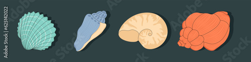 Tropical seashell. Cartoon clam, oyster and scallop shells. Colorful underwater conches of mollusk and sea snail. Ocean shellfish vector set isolated on dark. Colorful undersea elements