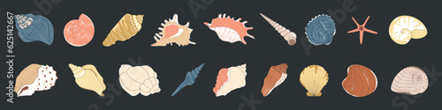Tropical seashell. Cartoon clam, oyster and scallop shells. Colorful underwater conches of mollusk and sea snail. Vector stock illustration, all elements isolated. Colorful undersea elements