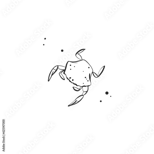 Hand drawn vector abstract simple minimalistic line art graphic drawing tropical underwater crab icon sign isolated.Summer sea crab modern design concept.Summer underwater crab nature line logo.