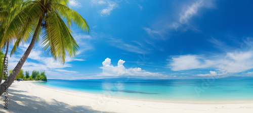 Beautiful beach with white sand, turquoise ocean, blue sky with clouds and palm tree over the water photo