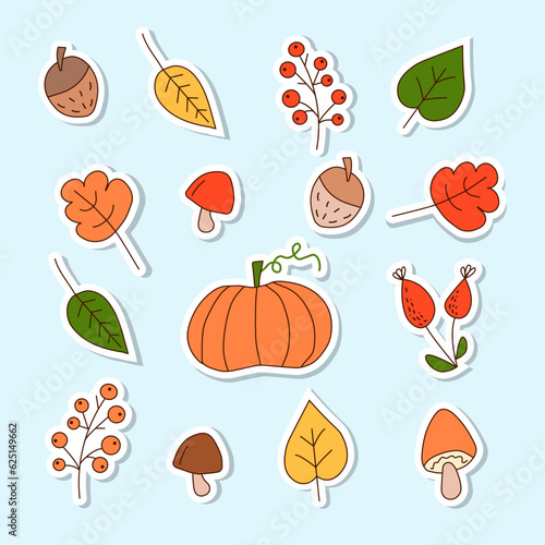 Set of autumn stickers: leaves,pumpkin, mushrooms, acorn, berries. Flat iilustration