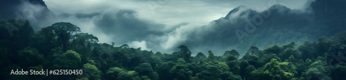 Landscape Mountain And Jungle, Fog and Cloud, Wide Panoramic, Aerial, Digital Art AI © Carles