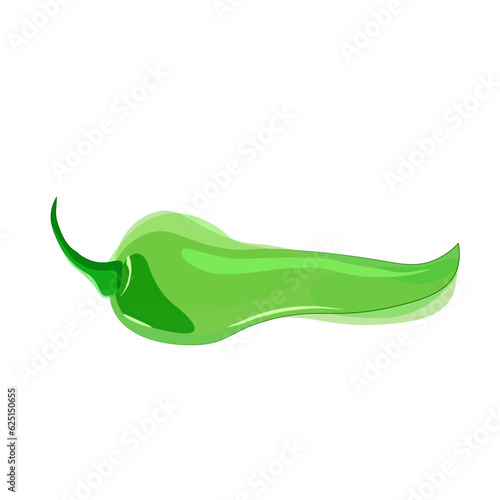 Vector green chili pepper in watercolor style