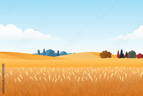 Beautiful landscape with a field of ripe wheat. Vector illustration of wheat field before harvest.