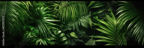 Green leaves  Group background of dark green tropical leaves   monstera  palm  coconut leaf  fern  palm leaf bananaleaf  Panorama background. concept of nature. Generative Ai.