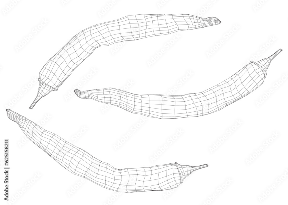 Wireframe chili peppers, black and white drawing, hatching. Contour image of food. Vector illustration isolated on white background. 3D. Wireframe chili peppers, black and white drawing, hatching. Contour image of food. Vector illustration isolated on white background. 3D.