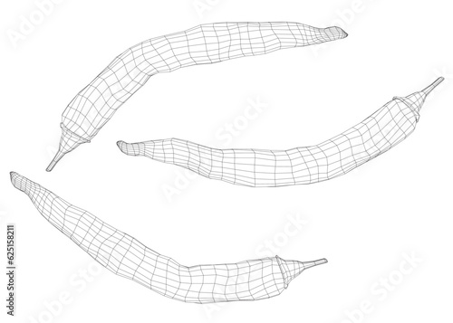 Wireframe chili peppers, black and white drawing, hatching. Contour image of food. Vector illustration isolated on white background. 3D.