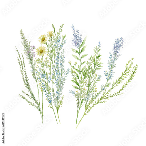 grass floral, Wildflowers, herbs painted in watercolor1