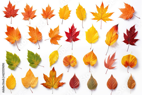 Collection Of Isolated Colorful Fallen Autumn Leaves On White Background. Generative AI