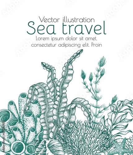 Vector frame underwater world. Algae, coral, shell, starfish in engraving style